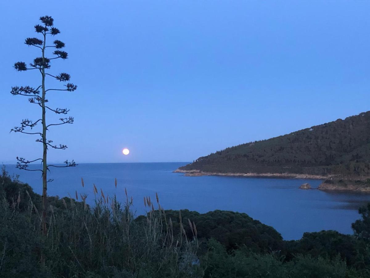 Case Dei Limoni Sul Mare Capoliveri Kültér fotó