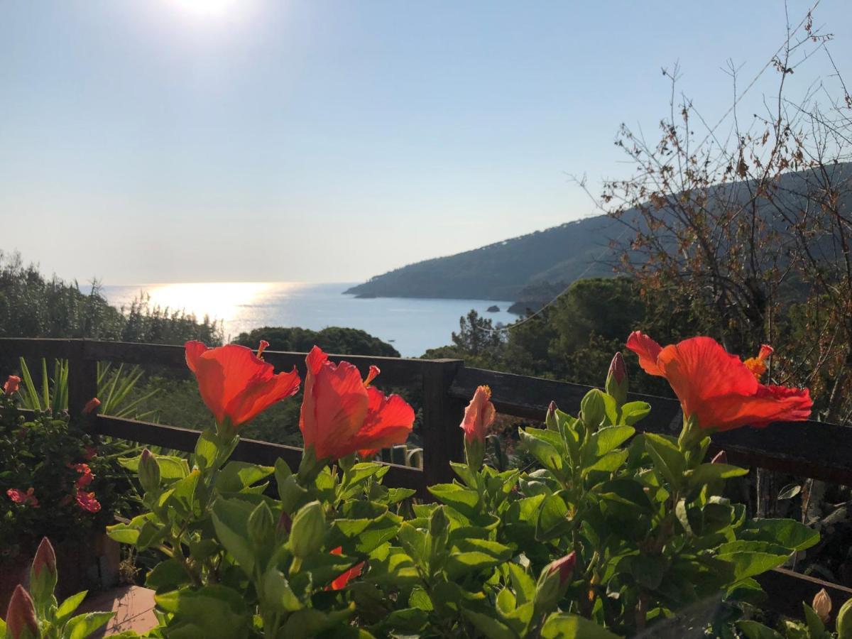 Case Dei Limoni Sul Mare Capoliveri Kültér fotó