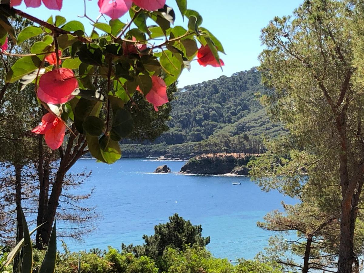 Case Dei Limoni Sul Mare Capoliveri Kültér fotó