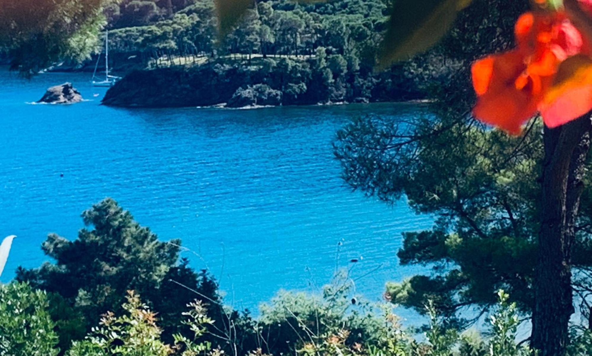 Case Dei Limoni Sul Mare Capoliveri Kültér fotó